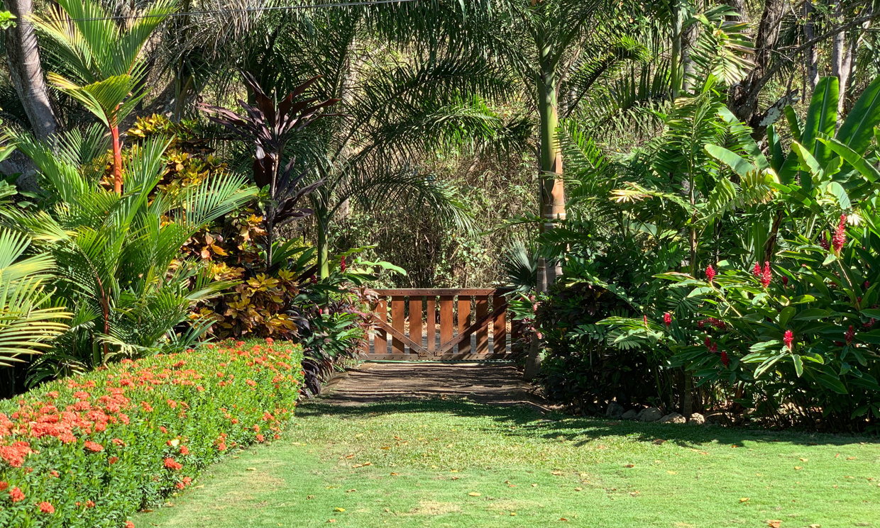 Image Sample