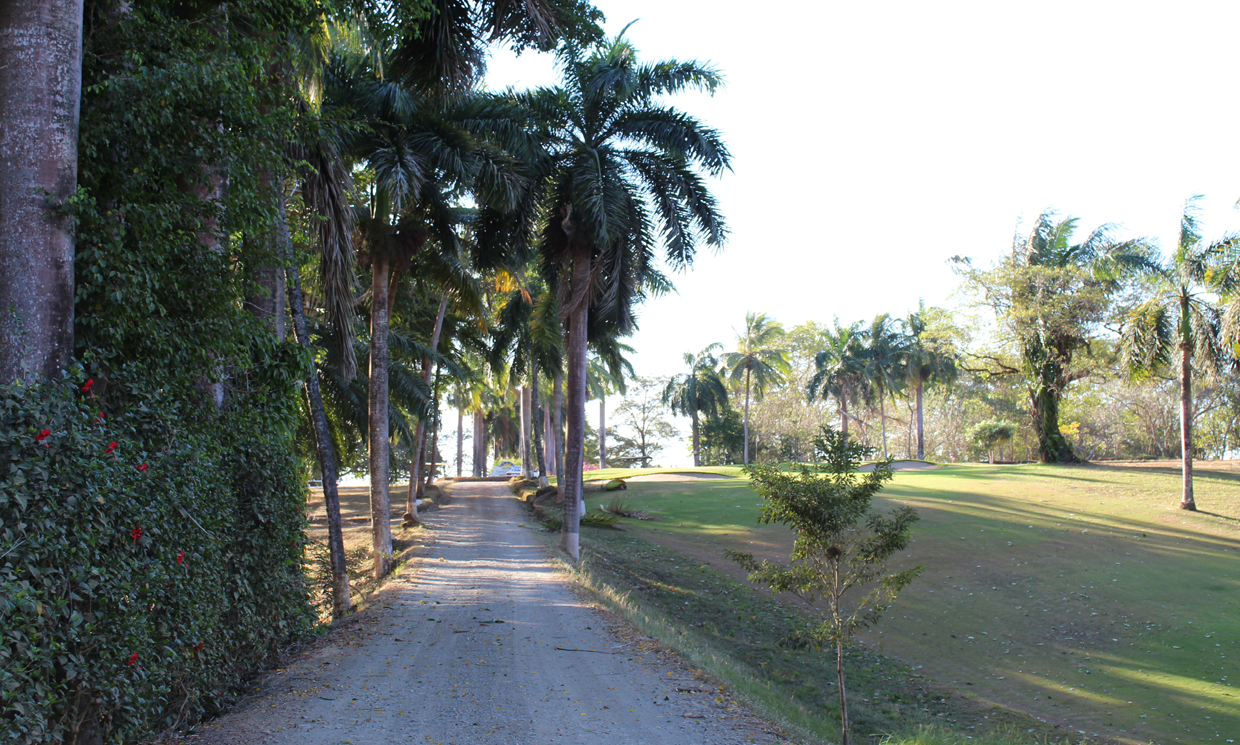 Image Sample