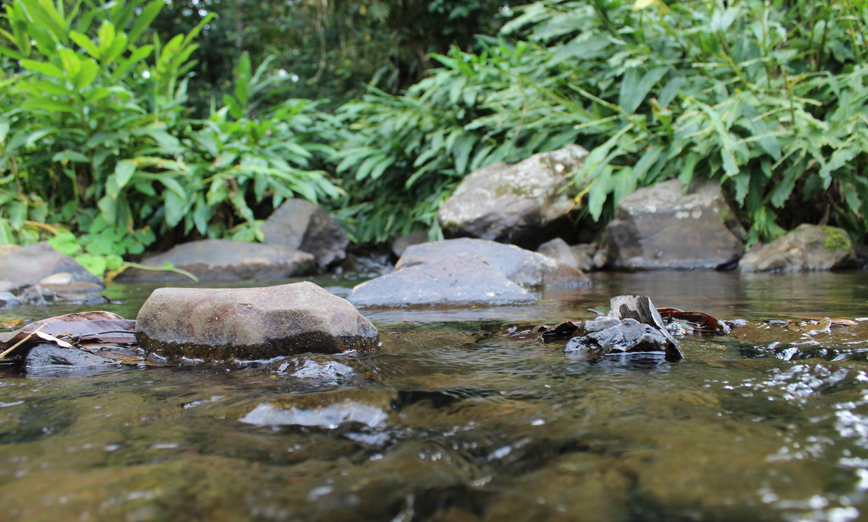 Image Sample