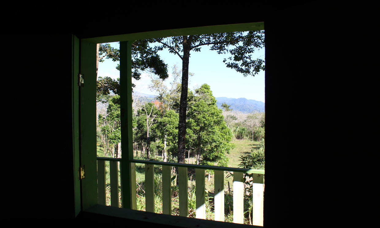 Image Sample