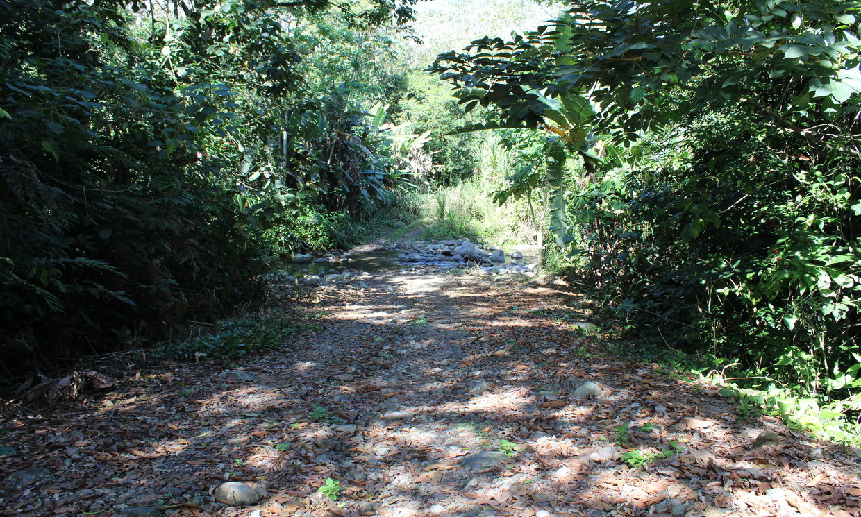 Image Sample
