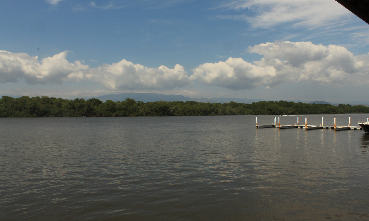 Image Sample
