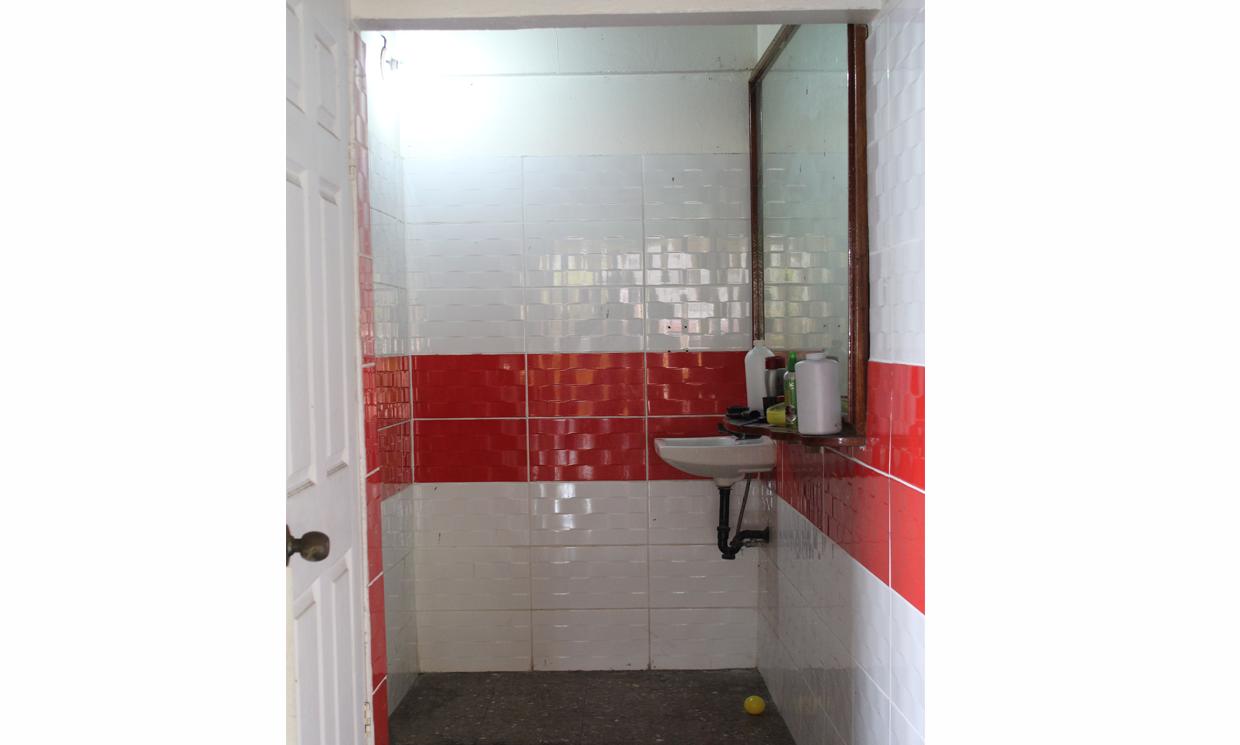 Image Sample