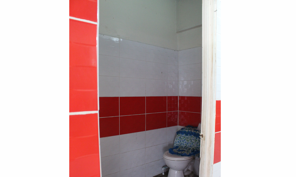 Image Sample