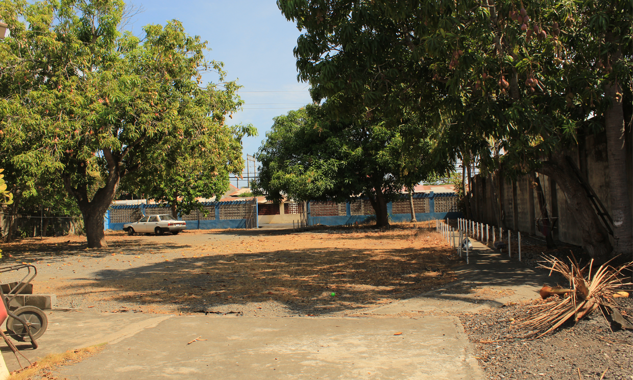 Image Sample