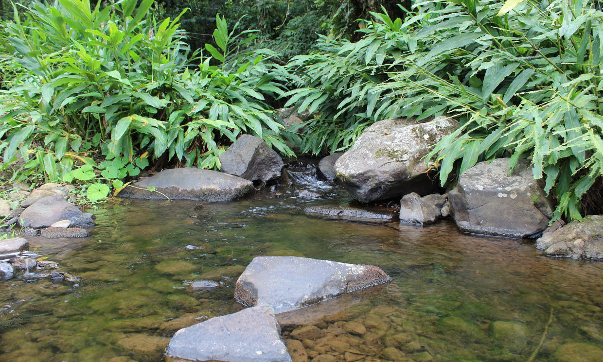 Image Sample