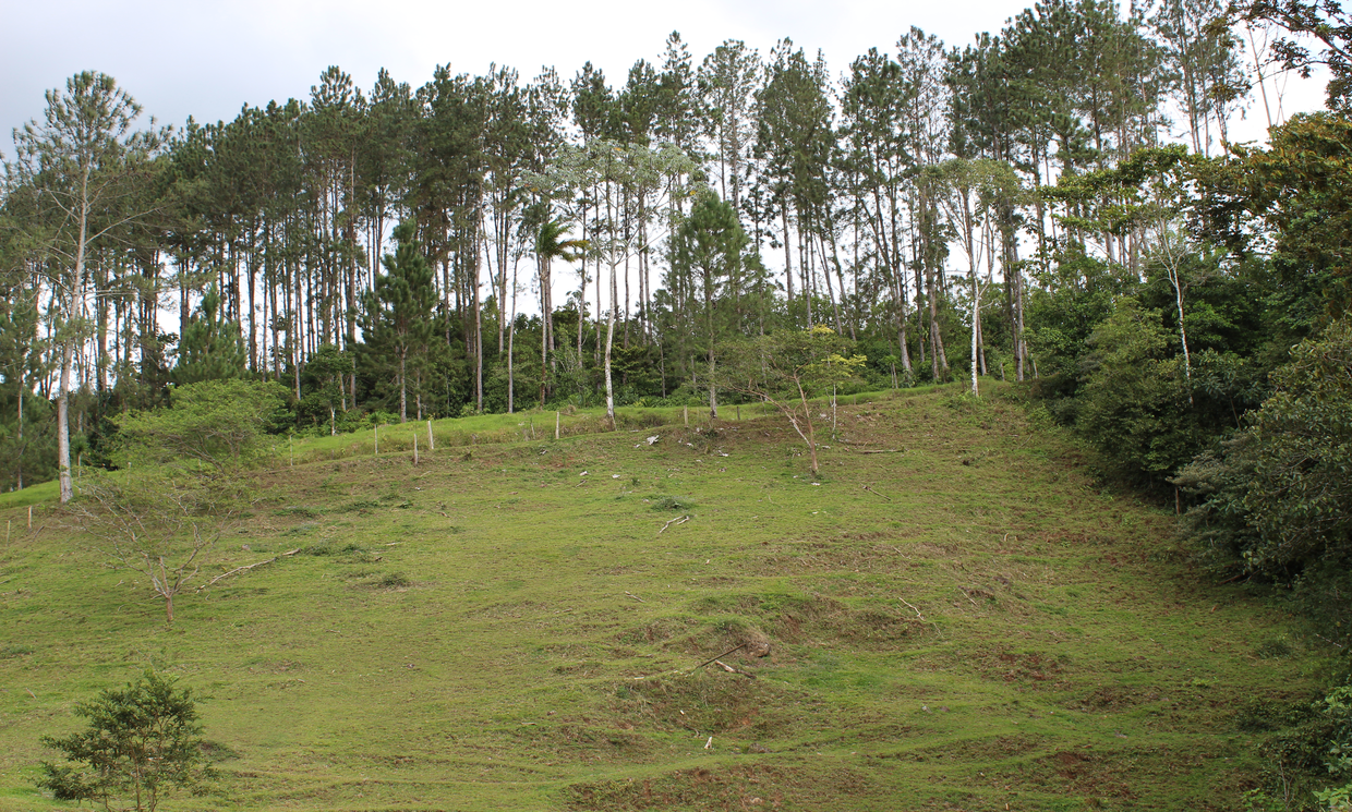 Image Sample